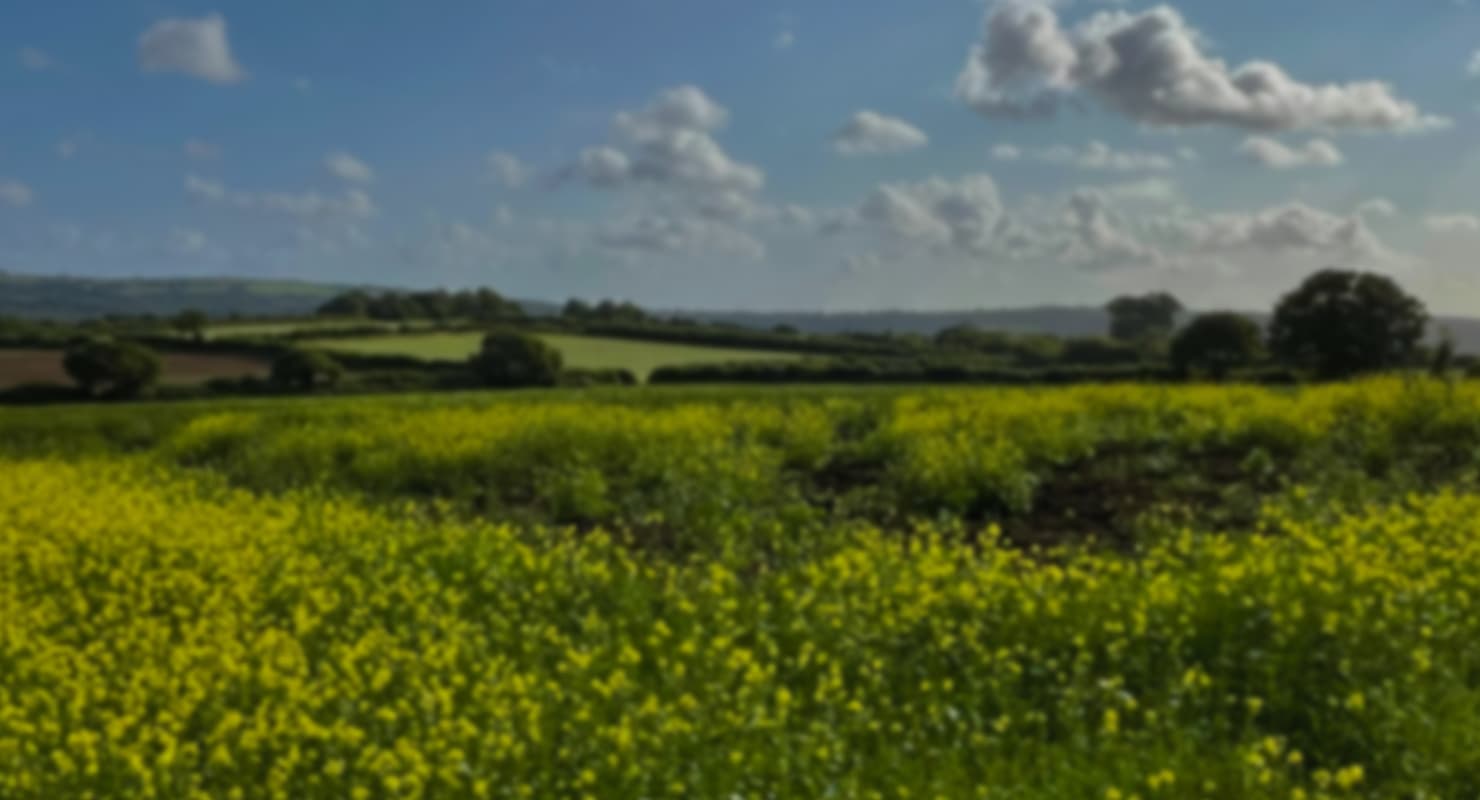 Rolling hills background